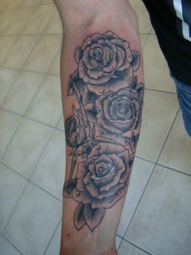 roses, flowers, floral