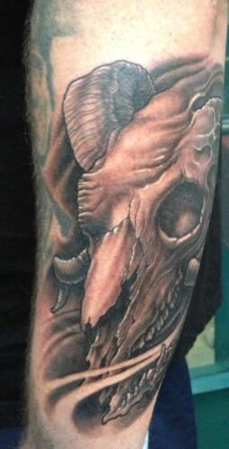 Scott Ford Tattoos - ram skull