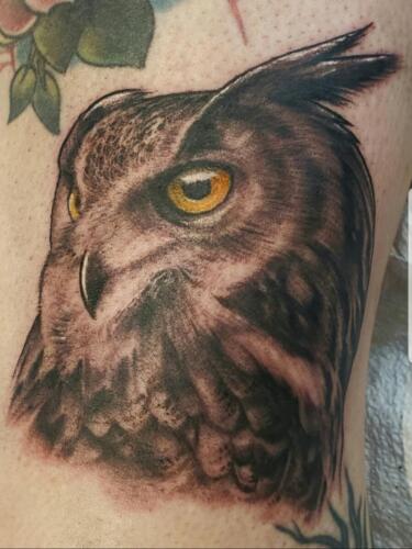 Scott Ford Tattoos - owl