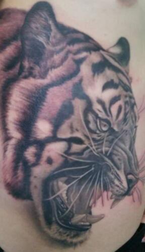 Scott Ford Tattoos - tiger