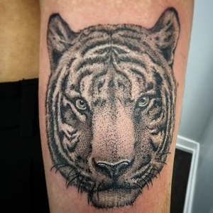 Paul Nye's Tattoo's-tiger