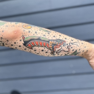 Dylan Llewellyn Tattoos - traditional snake tattoo